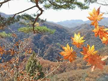 小米5稳定版最新版与济南实时湿度，科技融合，生活更舒适