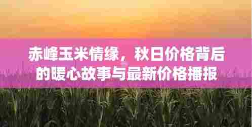 赤峰玉米情缘，秋日价格背后的暖心故事与最新价格播报