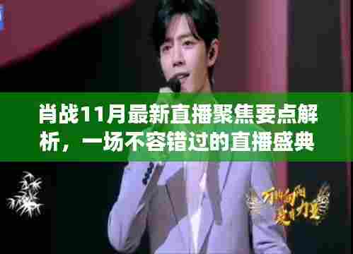 肖战11月最新直播聚焦要点解析，一场不容错过的直播盛典