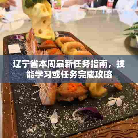 辽宁省本周最新任务指南，技能学习或任务完成攻略