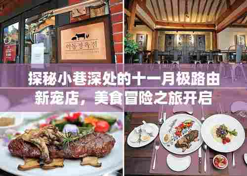 探秘小巷深处的十一月极路由新宠店，美食冒险之旅开启