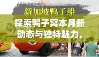 探索鸭子窝本月新动态与独特魅力，最新趋势一网打尽
