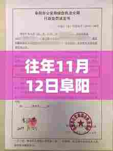 往年11月12日阜阳东三环最新消息深度解析与评测报告