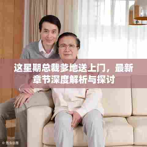 这星期总裁爹地送上门，最新章节深度解析与探讨