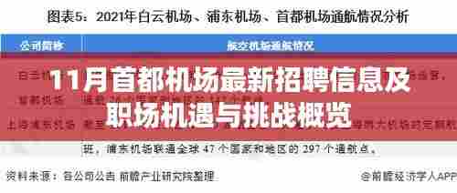 11月首都机场最新招聘信息及职场机遇与挑战概览
