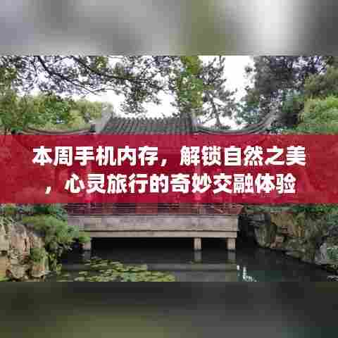 本周手机内存，解锁自然之美，心灵旅行的奇妙交融体验