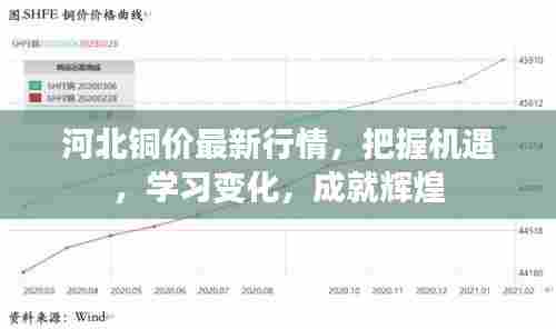 河北铜价最新行情，把握机遇，学习变化，成就辉煌
