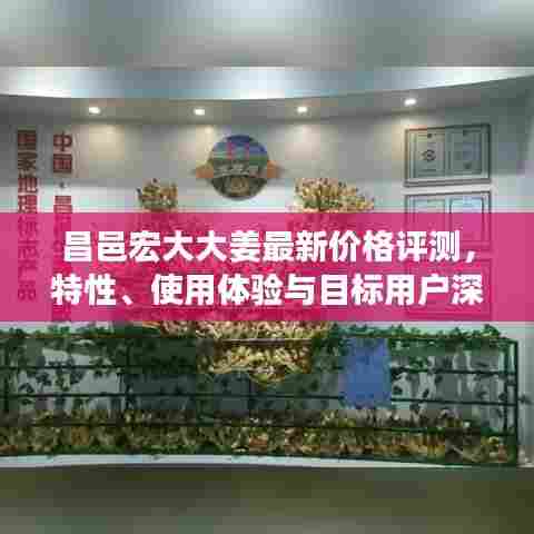 昌邑宏大大姜最新价格评测，特性、使用体验与目标用户深度解析
