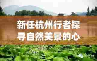 新任杭州行者探寻自然美景的心灵之旅，十一月最新任命之旅
