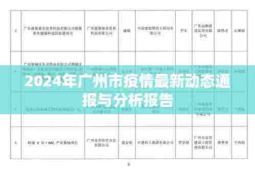 2024年广州市疫情最新动态通报与分析报告