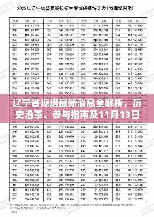 辽宁省规培最新消息全解析，历史沿革、参与指南及11月13日关注点