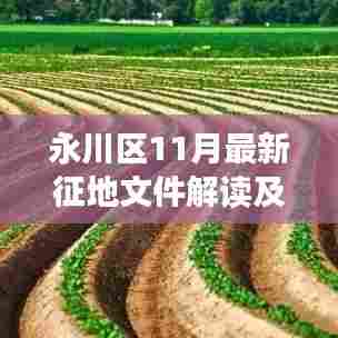 永川区11月最新征地文件解读及操作指南