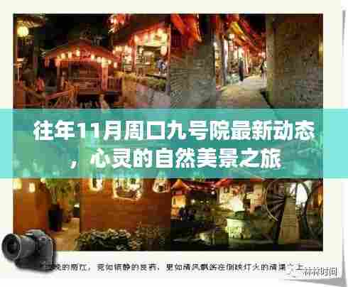 往年11月周口九号院最新动态，心灵的自然美景之旅