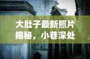 大肚子最新照片揭秘,小巷深处的独特风味与惊喜之旅