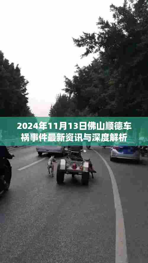 2024年11月13日佛山顺德车祸事件最新资讯与深度解析