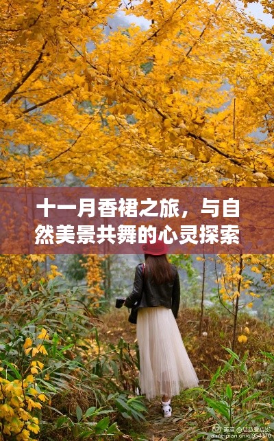 关于我们 第526页