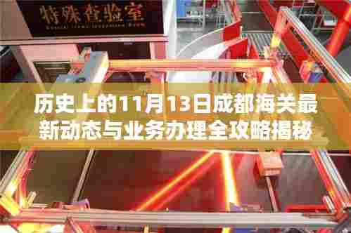 历史上的11月13日成都海关最新动态与业务办理全攻略揭秘