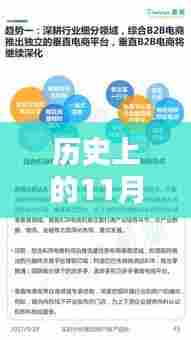 历史上的11月13日电子商务资讯深度解析,资讯、观点与多维度分析