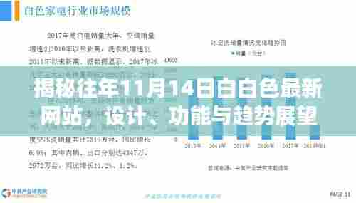 揭秘往年11月14日白白色最新网站，设计、功能与趋势展望全解析