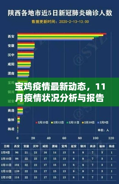 宝鸡疫情最新动态,11月疫情状况分析与报告