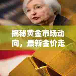 揭秘黄金市场动向，最新金价走势与投资趋势分析（11月14日）