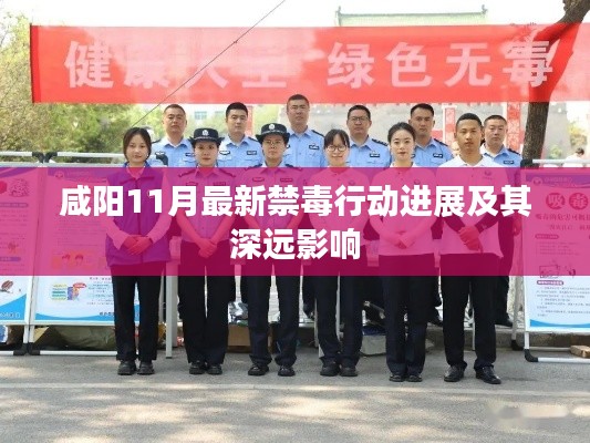 咸阳11月最新禁毒行动进展及其深远影响