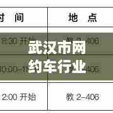 武汉市网约车行业新动态，聚焦变革与影响，最新消息发布于2024年11月14日