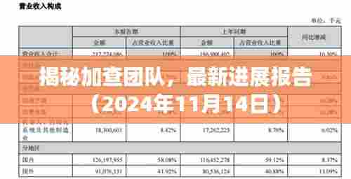 揭秘加查团队，最新进展报告（2024年11月14日）