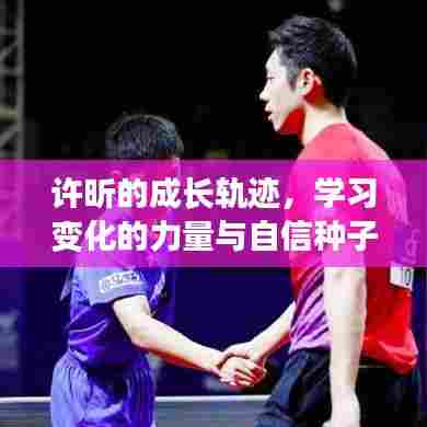 许昕的成长轨迹，学习变化的力量与自信种子在往年11月14日的绽放时刻