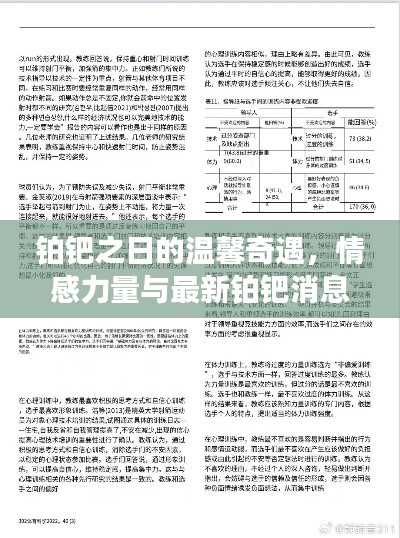 铂钯之日的温馨奇遇,情感力量与最新铂钯消息综述