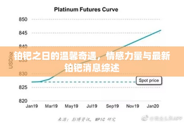 铂钯之日的温馨奇遇,情感力量与最新铂钯消息综述