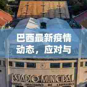巴西最新疫情动态,应对与防控指南(11月14日更新)