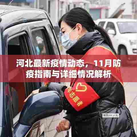 河北最新疫情动态，11月防疫指南与详细情况解析
