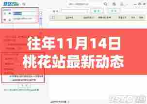 往年11月14日桃花站最新动态概览，最新消息一览无余