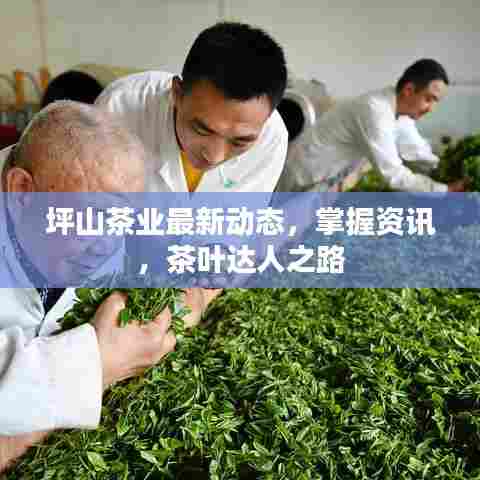 不修边幅 第7页