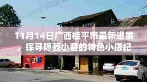 11月14日广西桂平市最新进展,探寻隐藏小巷的特色小店纪实
