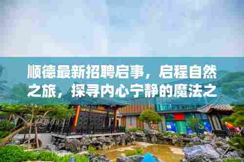 顺德最新招聘启事，启程自然之旅，探寻内心宁静的魔法之地（2024年11月）