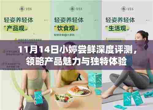 11月14日小婷尝鲜深度评测，领略产品魅力与独特体验