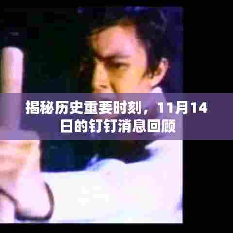 揭秘历史重要时刻，11月14日的钉钉消息回顾