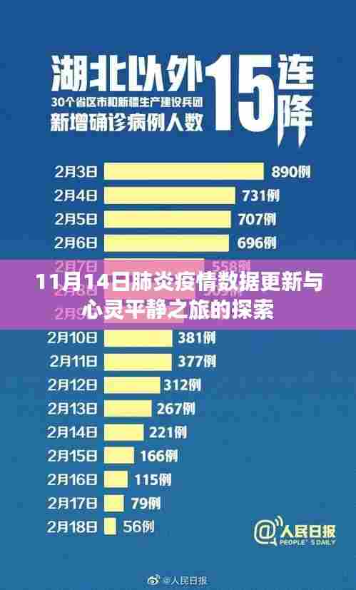 11月14日肺炎疫情数据更新与心灵平静之旅的探索