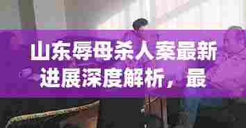 山东辱母杀人案最新进展深度解析,最新消息揭示案件动态