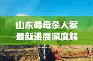 山东辱母杀人案最新进展深度解析，最新消息揭示案件动态