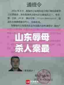 山东辱母杀人案最新进展深度解析,最新消息揭示案件动态