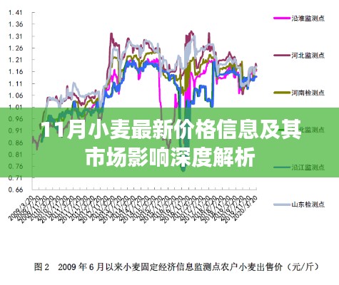 11月小麦最新价格信息及其市场影响深度解析