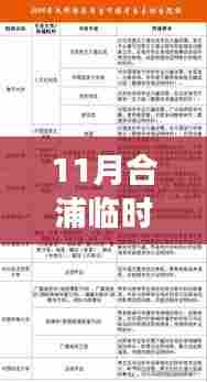 11月合浦临时工招聘现象，利弊分析与个人立场探讨