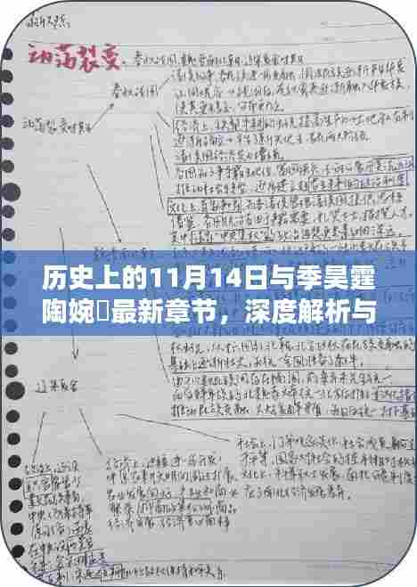历史上的11月14日与季昊霆陶婉玗最新章节，深度解析与观点阐述