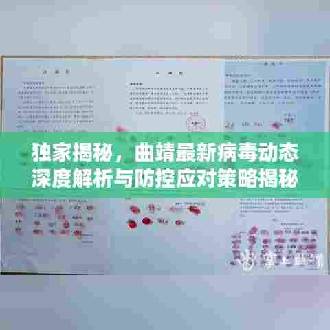 独家揭秘，曲靖最新病毒动态深度解析与防控应对策略揭秘！