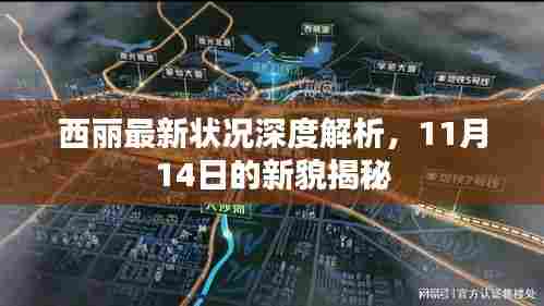 西丽最新状况深度解析，11月14日的新貌揭秘