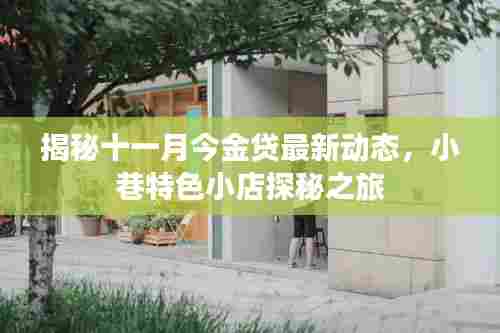 揭秘十一月今金贷最新动态，小巷特色小店探秘之旅