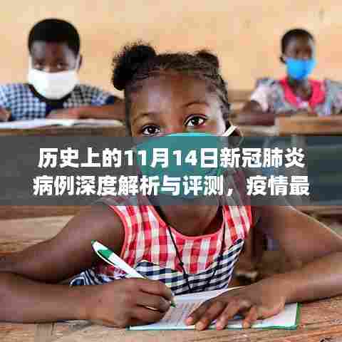 历史上的11月14日新冠肺炎病例深度解析与评测，疫情最新进展回顾与疫情趋势分析